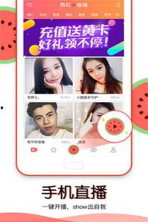 吃瓜视频在哪儿看直播啊,一网打尽热门直播盛宴