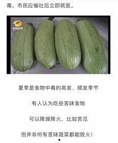 吃白瓜的小妙招视频,跟着视频学小妙招