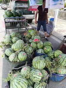 菏泽郓城吃瓜事件视频,一场引发热议的网络视频风波