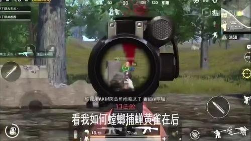 我是小呆瓜吃鸡直播视频,欢乐无限，笑料横生