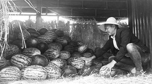 石门吃瓜群众事件视频,一场网络舆论的风暴与反思