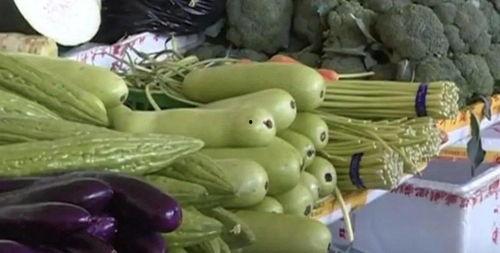 葫芦瓜能干啥吃的呢视频,从家常菜到创意料理