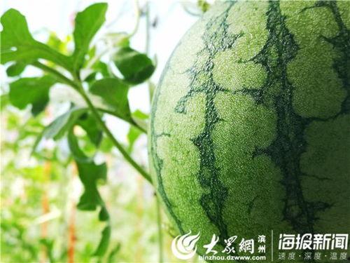 神秘地方吃瓜视频