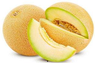 韩国奶奶吃哈密瓜视频大全,甜蜜瞬间全网传颂